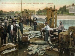 Morning scene on Fisherman's Wharf. The postcard is circa 1909 and Fisherman's Wharf was also known as the Railroad Wharf. Image courtesy of Frank Perry.