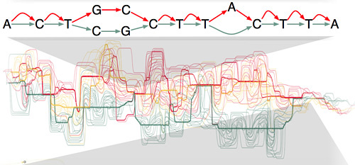 Genomics Institute awarded $2M for human genome variation project