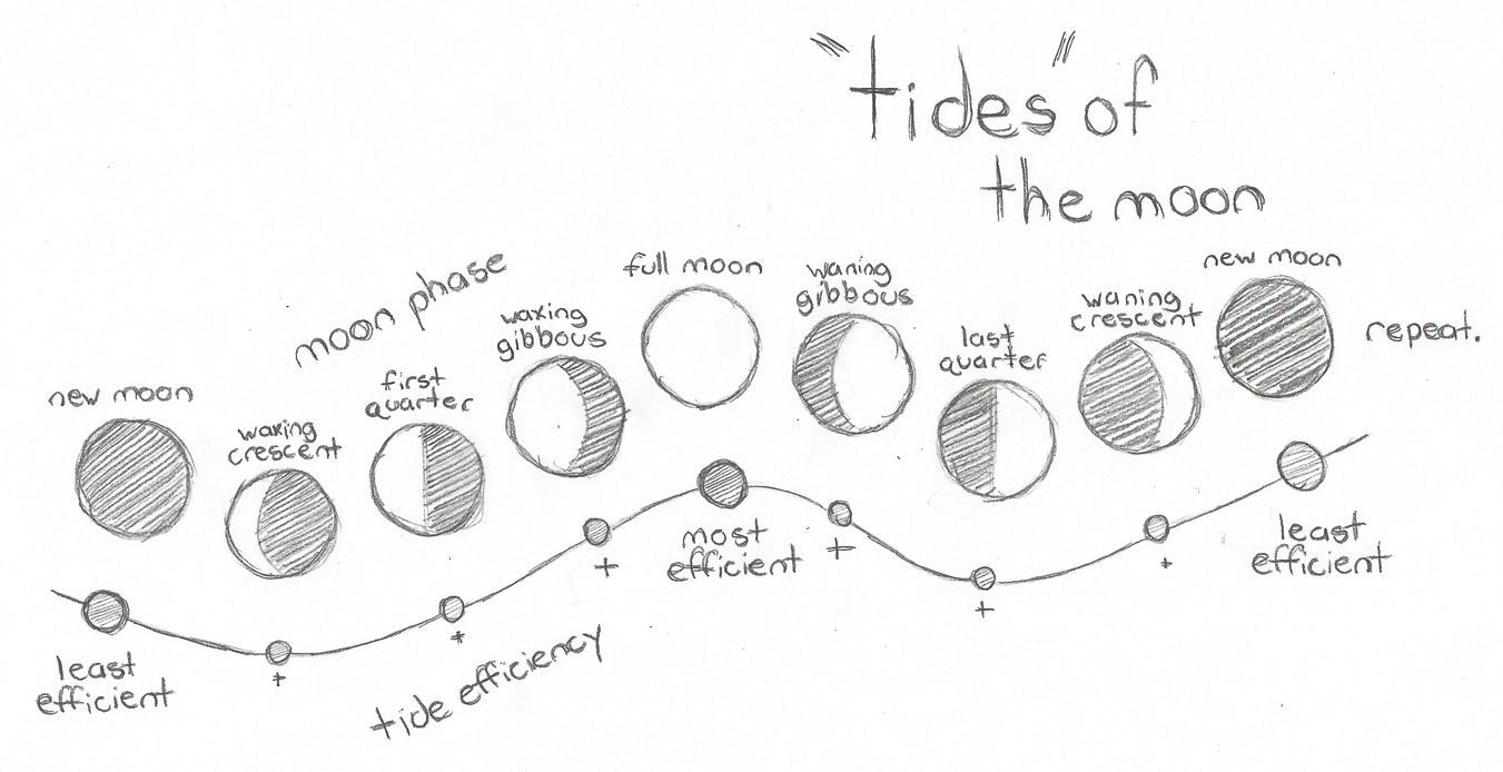 tides-of-the-moon1