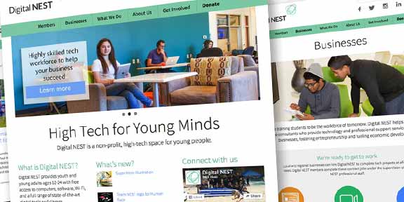 Digital NEST Launches New Website by Scott Design