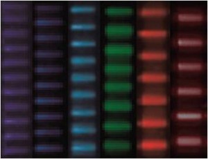 Multispot excitation patterns are created in a fluidic channel filled with fluorescent liquid, showing that the entire visible spectrum is covered by independent channels (the original black-and-white images are rendered in the actual excitation colors). (Credit: Ozcelik et al., PNAS 2015)