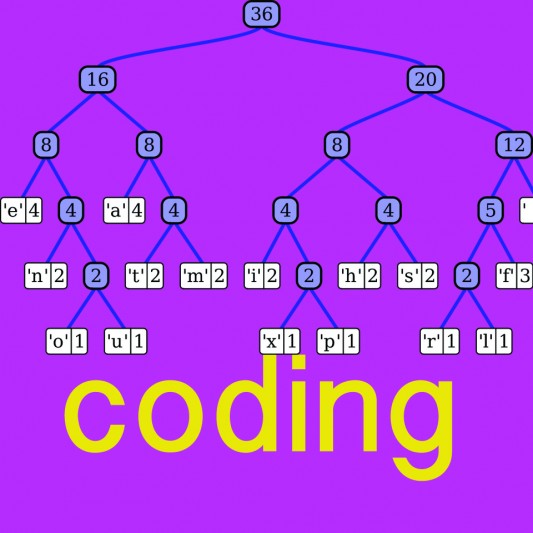 Women & STEM: College Vs. Coding Boot Camps