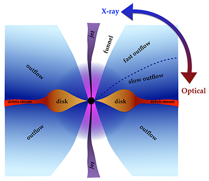 New model explains what we see when a massive black hole devours a star