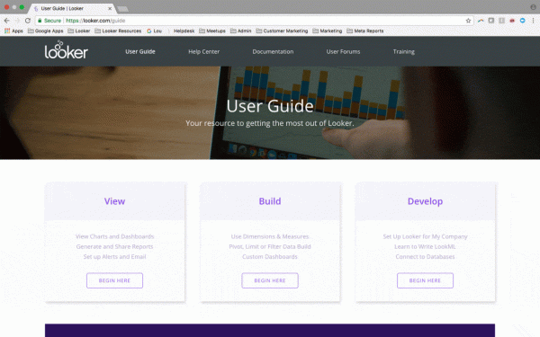 Announcing the Looker User Guide