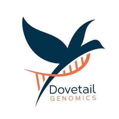 Dovetail Genomics: The human genome is far more dynamic, complex, revealing, fascinating than ever imagined