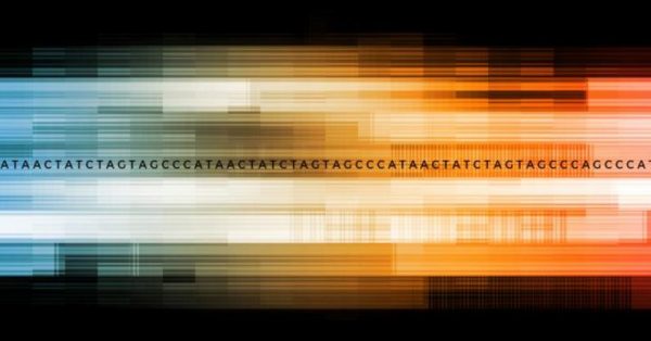 Seagate, UC Santa Cruz collaboration poised to accelerate genomics data analysis