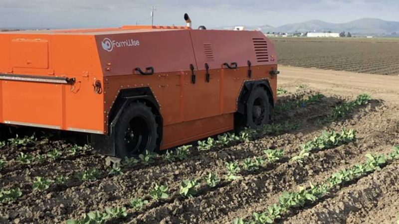 Automated weeding machine at Church Brothers Farm