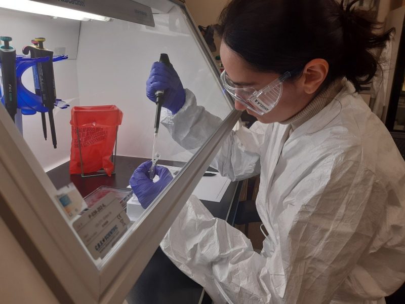 CSUMB science student Angela Albanese volunteers in the Monterey County Health Department lab to help test for COVID-19.