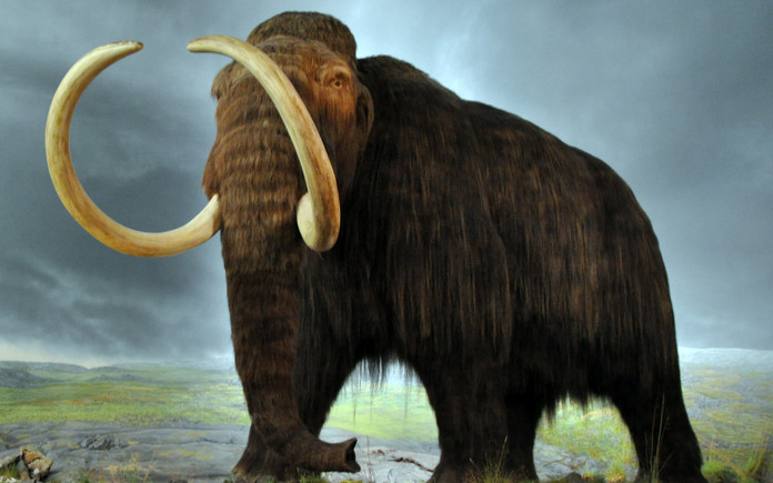 painting of woolly mammoth