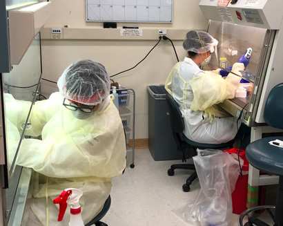 scientists in lab wearing protective gear running COVID-19 coronavirus tests during the pandemic at the UCSC testing lab