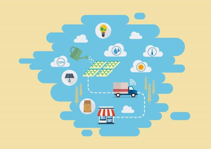 vector drawing of steps of agricultural supply chain