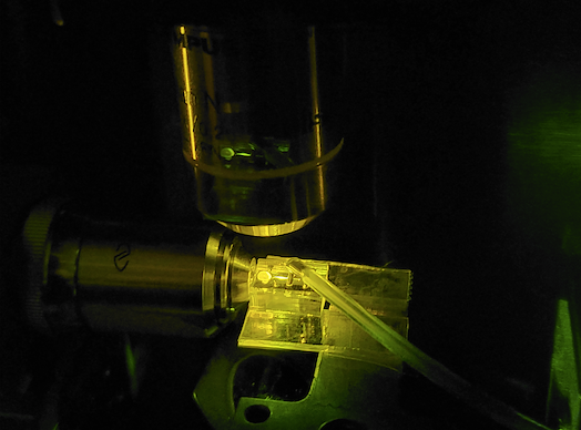 Applied Optics Lab creates novel on-chip laser source useful for biodetection