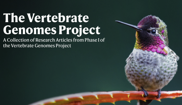 Project to read genomes of all 70,000 vertebrate species reports first discoveries